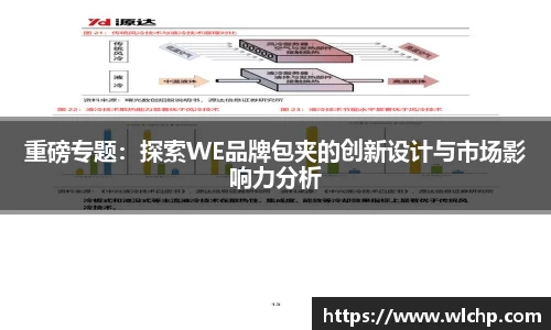 重磅专题：探索WE品牌包夹的创新设计与市场影响力分析